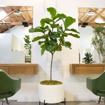 5 Salon Interior Design Trends to Energize Your Space