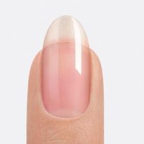 Everything You Need to Know About New Plexigel from CND