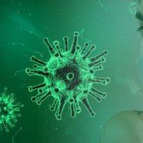 As the concern about corona virus, or COVID-19 continues to concern the public, it's the perfect...