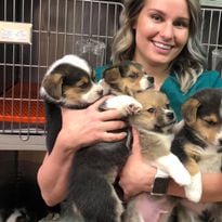 My Other Life: Kaili Windecker, Veterinary Technician