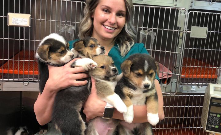 My Other Life: Kaili Windecker, Veterinary Technician