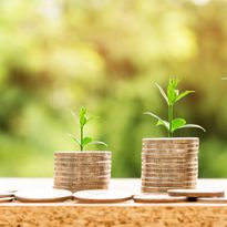 Money grows when you make smart decisions.