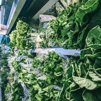 15 of the Healthiest Vegetables to Eat