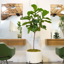 2022 Salon Interior Design Trends