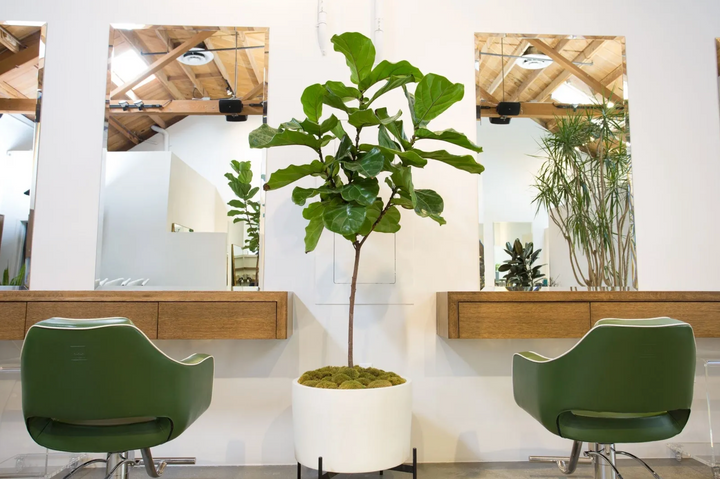 2022 Salon Interior Design Trends