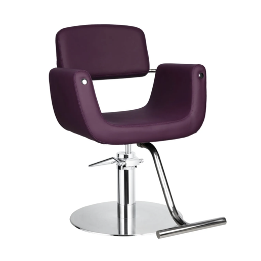 Corsa Styling Chair
The Corsa Salon Styling Chair will bring a sense of elegance and style to...