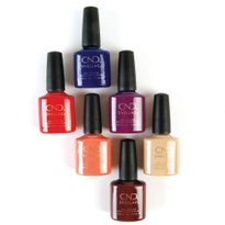 Wild Earth Collection