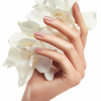 Beauty Changes Lives Foundation Announces BCL | CND | Tippi Hedren Spring  2016 Nail Scholarship...